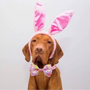 Easter Day Dog Collar with Bow Tie